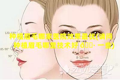 种植眉毛哪家医院效果最优(请问种植眉毛哪里技术好 🌷 一些)